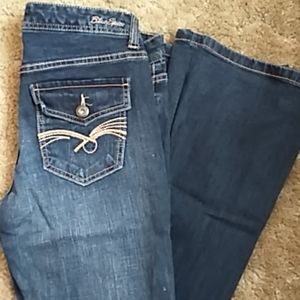 NWOT Blue Spice Flared Jeans